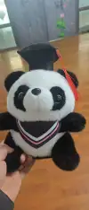 New graduation gift: Doctor Panda plush toy, giant panda doll, exquisite grabbler Application Scenario